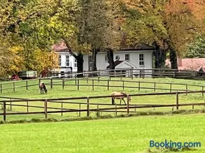 Herrenhaus - Starnberger See - Ammerland - Image 2