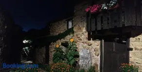 Veniata - Image 2