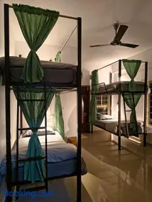 Roaming Souls Hostel Munnar - Image 1