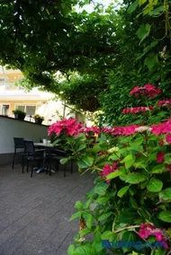 Weingut Göbel-Schausten - Image 4