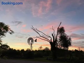 Pull Up Stumps - Image 1