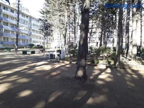 Departamento Bosques del Tabo - Image 2