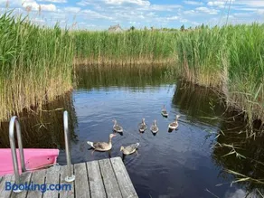 Seehütte Pfahlbau-Neusiedlersee-GlamPing - Image 2