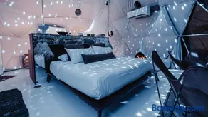 The Disco Domes - Image 3