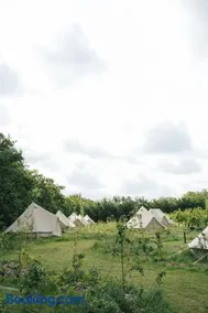 Eco Farm Camping 'de Waeldernis' - Image 3