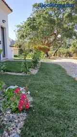 La Chintina - Image 1