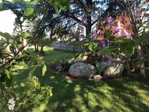 Villa las camelias - Image 5