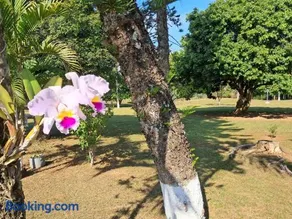 Chácara com piscina no condomínio Vitassay - Image 1