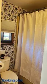 Campau cottage 1 bed Lakefront hot swim pool spa cottage - Image 3