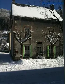 Les mélèzes - Image 1