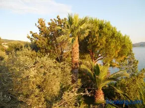 Villa Electra - Image 3