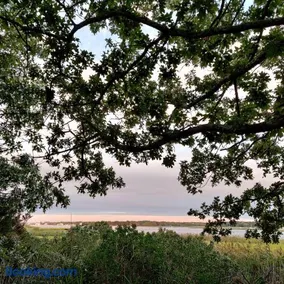 Bayfront & nature preserve! - Image 5