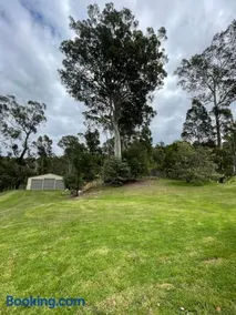 Idyllic Bush Retreat - Image 2