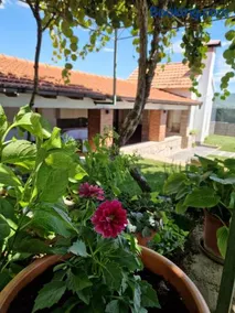 Villa Olea - Image 2