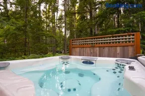 Mt Baker Forest Cabin Hot Tub Fireplace - Image 2
