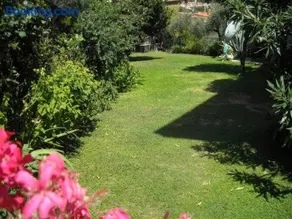 Agrodolce - Image 1