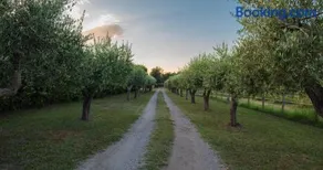 Fuori le Mura - Image 2