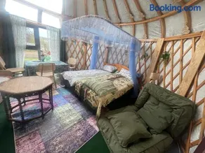 Unique Mongolian Yurt near lake together with guest house - Image 3