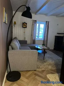The house in Vika - Image 2