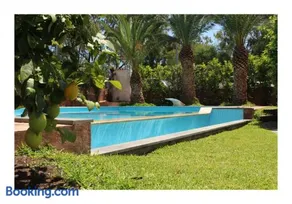 The Green Seaside - Image 2