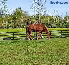 102 Acre Pet Friendly Horse Farm! Bring your horse too! - Image 1