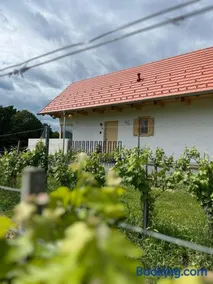 Modernes Kellerstöckl im Südburgenland - Image 3