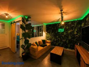 La Jungle du Vernet, Ambiance Tropicale - Image 1