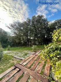 Maison de campagne entre Ajaccio et Porticcio - Image 4