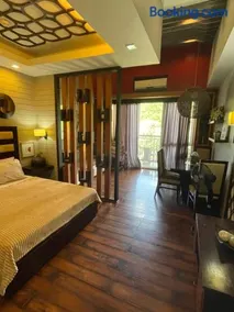 PICO DE LORO CAROLA B - Image 1
