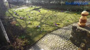 Ferienhaus Frieda - Image 3