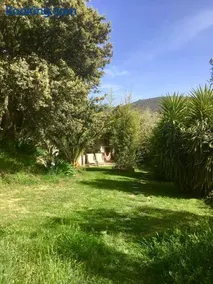 Cortijo La Viñuela - Image 2