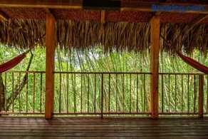 Cabin Nestled in Bamboo Forest - Image 4