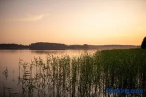 Niezwykła Cisza Glamping & Sauna - Image 3