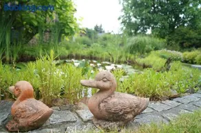 Spreewald-Domizil - Image 2