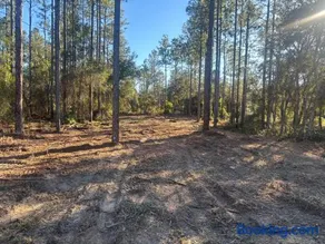 Nice 4,000 sqft vacant lot perfect for camping or weekend get away will need to bring your own tent or camper - Image 3