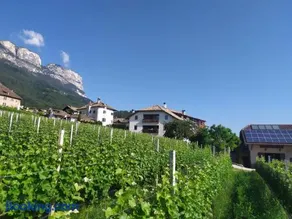 Weingut Lahn zu Eppan - Image 2