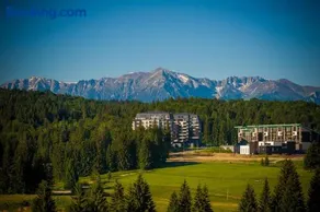 Silver Mountain G1 21 R - Image 2