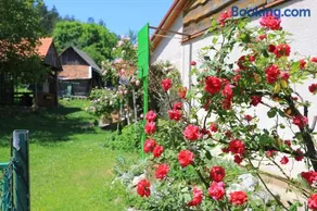 Apartments for families with children Perusic (Velebit) - 17540 - Image 4