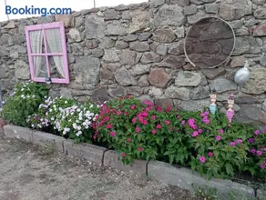 dilemi 3 - Image 4