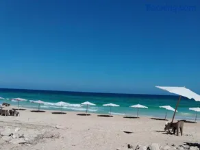 الاسكندرية ابو تلات - Image 1