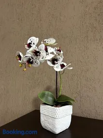 Apartamento 102 - Image 3