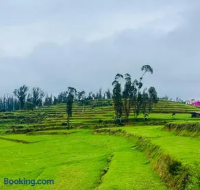 Teyt's Green Haven - 3 BHK - Image 1