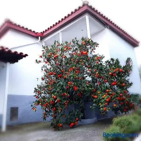Dimos Bungalows - Image 1