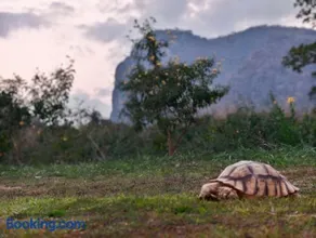 เขาใหญ่ฮาร์ทแลนด์ khaoyai heartland - Image 5