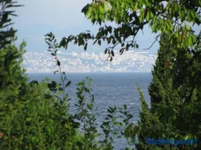 Apartment Sea Garden - Image 2