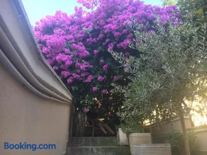 B&B La Bougainvillea - Image 1