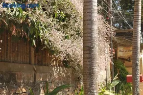 Chalé do Lago - Image 4