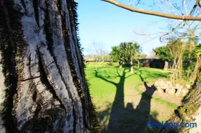 Casa dos Ouriços - Image 3