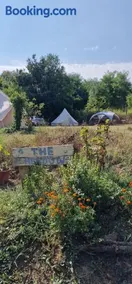 Koppány Pines - Bell Tent B & B Rooms - Image 1