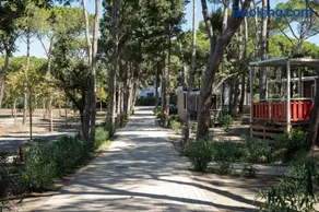 Camping Il Capannino Glamping Village - Image 4